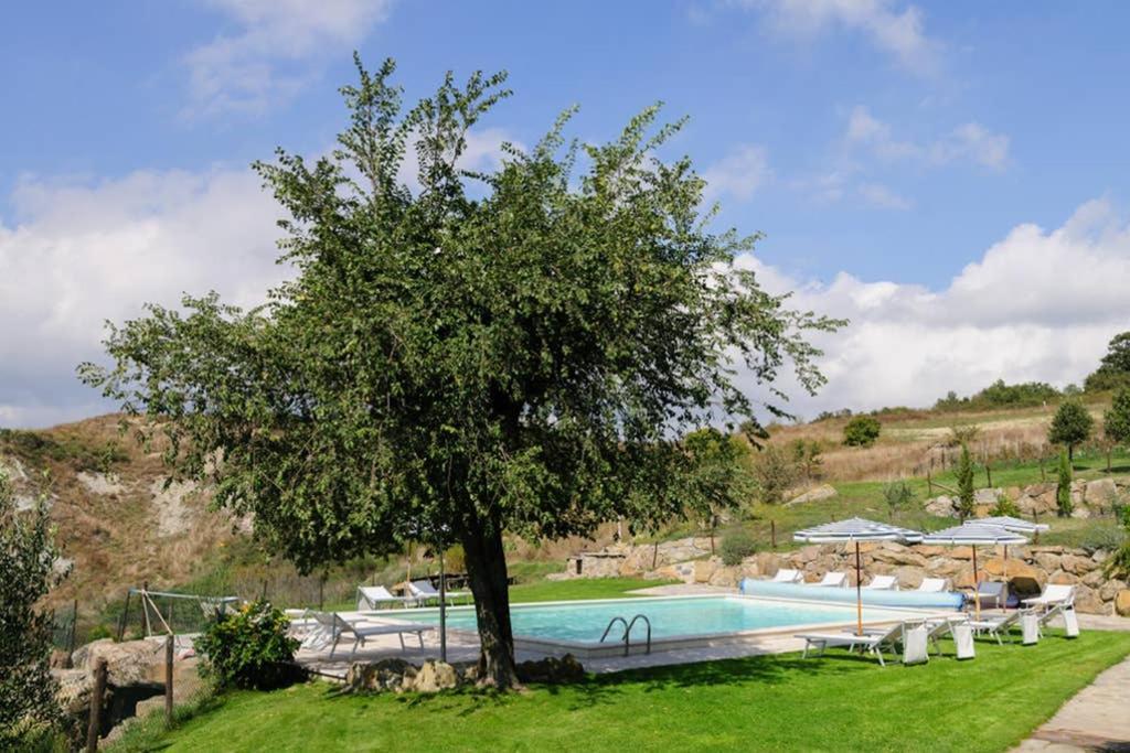 Girasole Cottage Overlooking The Orcia Valley In Tuscany Radicofani Εξωτερικό φωτογραφία